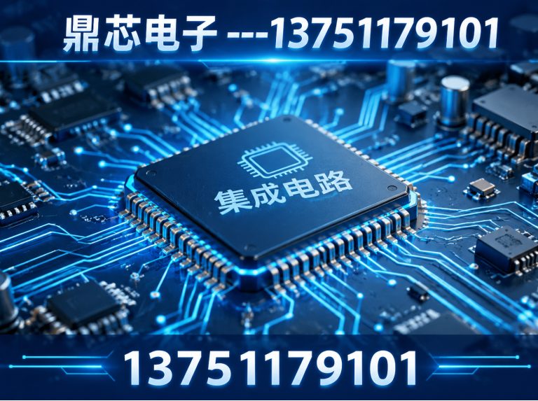 拉萨鼎芯电子展示图